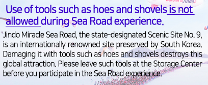 Use of tools such as hoes and shovels is not allowed during Sea Road experience. Jindo Miracle Sea Road, the state-designated Scenic Site No. 9, is an internationally renowned site preserved by South Korea. Damaging it with tools such as hoes and shovels destroys this global attraction. Please leave such tools at the Storage Center before you participate in the Sea Road experience.